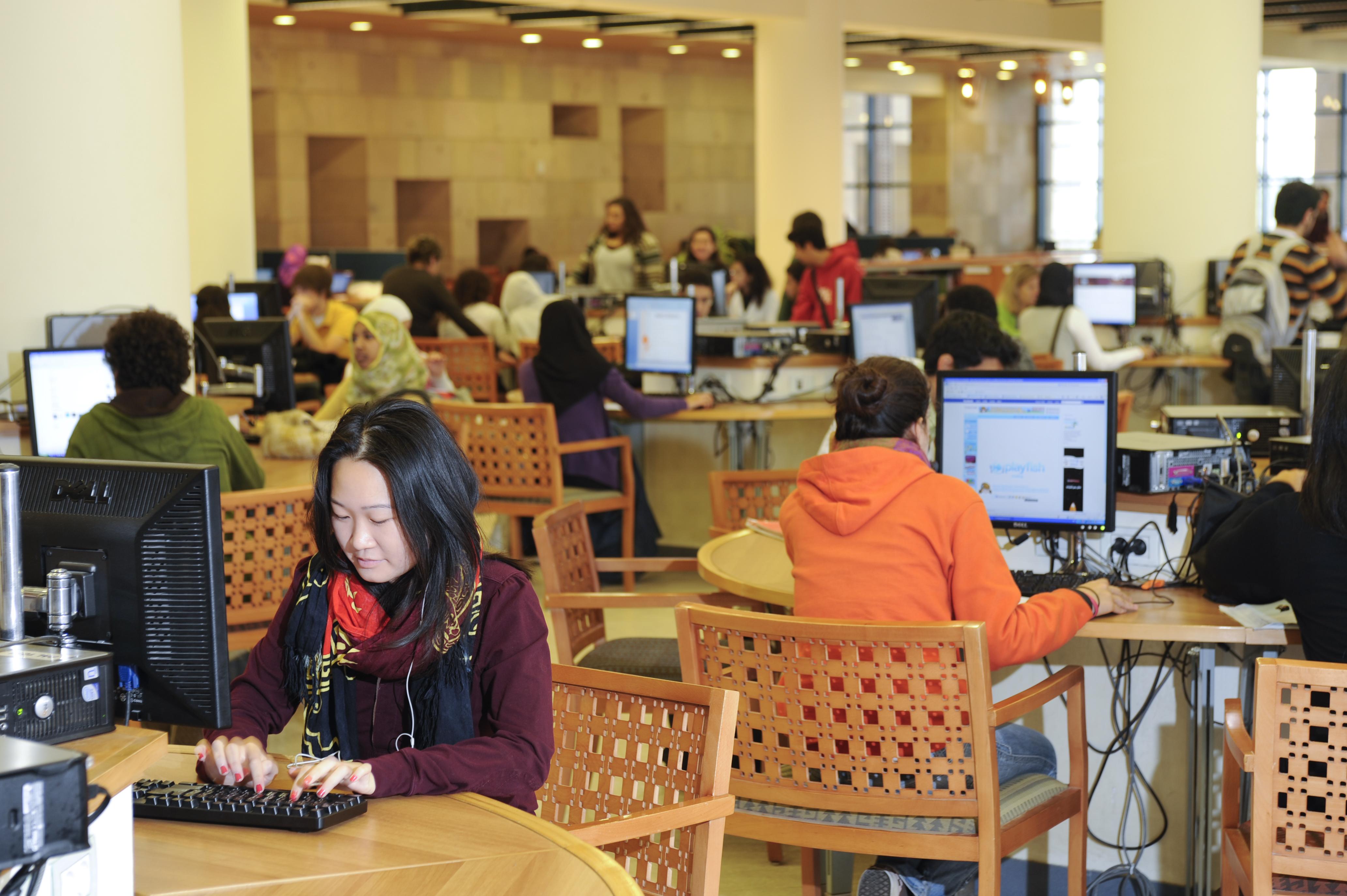 Students in Library Working