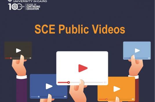 SCE Public Videos 1