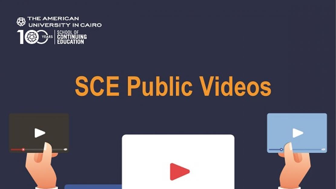 SCE Public Videos 1